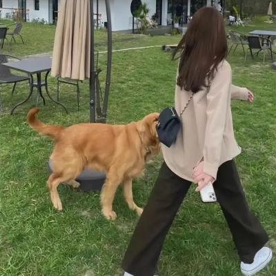 叠影惊情